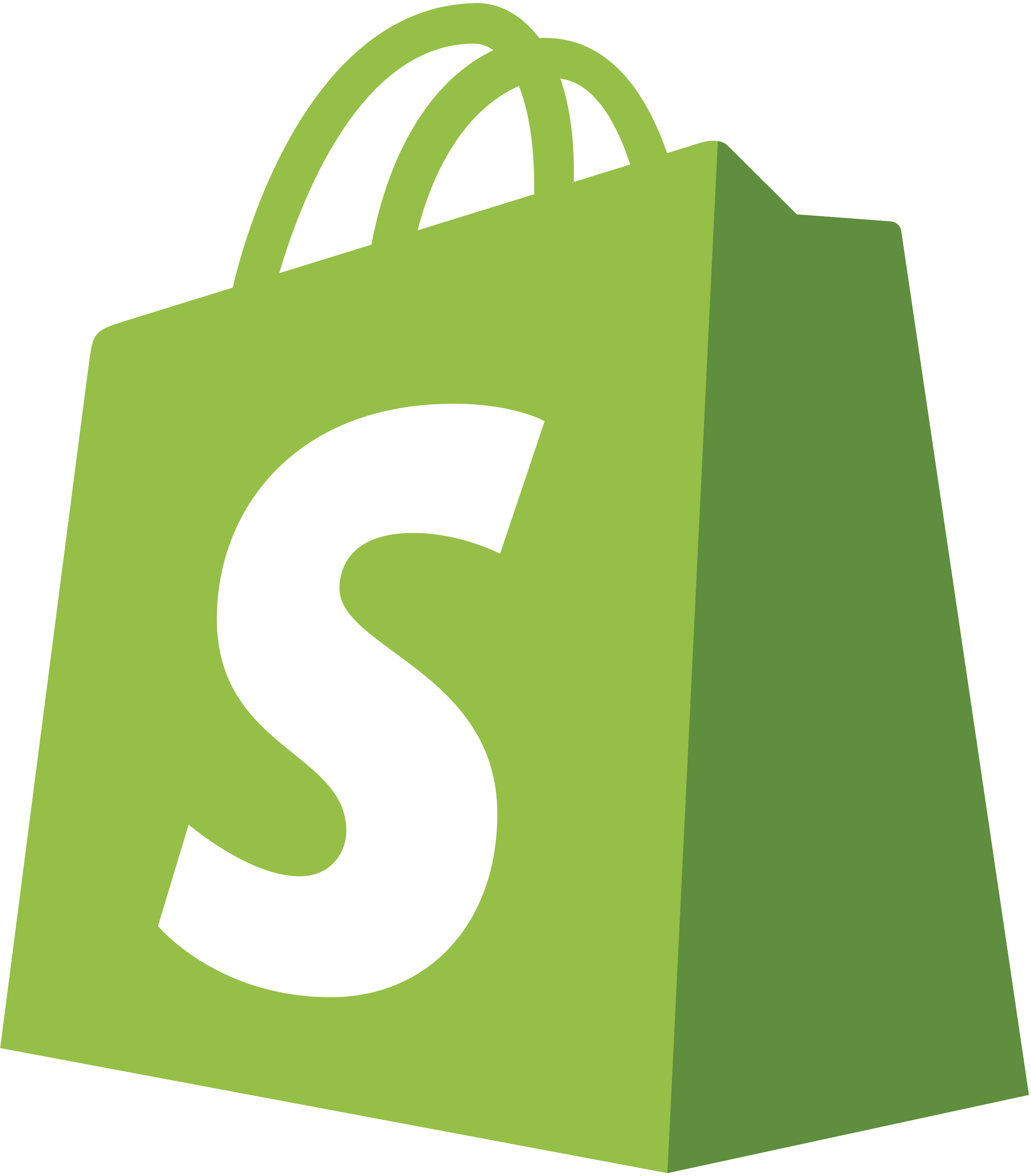 Shopify Ödeme Entegrasyonu